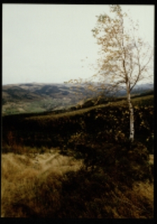 G&oacute;ry Izerskie (fot.7) [Dokument ikonograficzny]