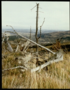 G&oacute;ry Izerskie (fot.8) [Dokument ikonograficzny]