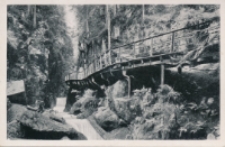 Zackelklamm [Dokument ikonograficzny]