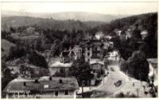 Riesengebirge. Schreiberhau - Mariental m. Wilhelmstrasse [Dokument ikonograficzny]