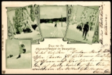 Gruss von der Hörnerschlittenfahrt im Riesengebirge [Dokument ikonograficzny]