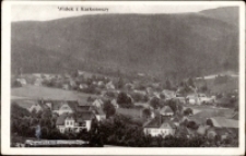 Wojków - panorama miejscowości na tle gór [Dokument ikonograficzny]