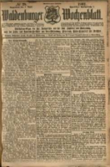 Waldenburger Wochenblatt, Jg. 48, 1902, nr 28