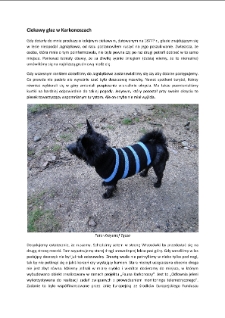 Ciekawy głaz w Karkonoszach [Dokument elektroniczny]