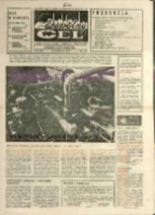 Wspólny cel : gazeta załogi ZWCH "Chemitex-Celwiskoza" , 1987, nr 28 (1037)