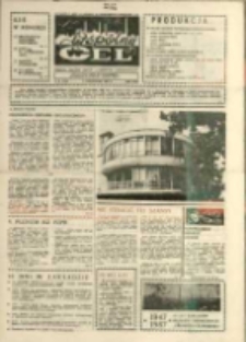 Wsp&oacute;lny cel : gazeta załogi ZWCH "Chemitex-Celwiskoza" , 1987, nr 30 (1029)