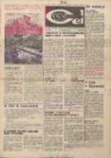 Wspólny cel : gazeta załogi ZWCH "Chemitex-Celwiskoza", 1982, nr 16 (856)