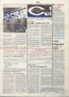Wspólny cel : gazeta załogi ZWCH "Chemitex-Celwiskoza", 1982, nr 21 (861)