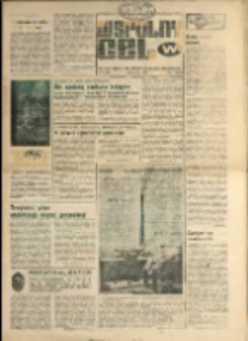 Wspólny cel : Gazeta samorządu robotniczego "Celwiskozy" , 1981, nr 2 (809)