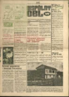 Wspólny cel : Gazeta samorządu robotniczego "Celwiskozy" , 1981, nr 9 (816)