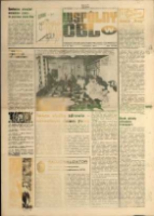 Wspólny cel : Gazeta samorządu robotniczego "Celwiskozy" , 1981, nr 10 (817)