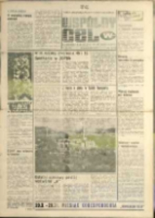 Wspólny cel : Gazeta samorządu robotniczego "Celwiskozy" , 1979, nr 29 (764)
