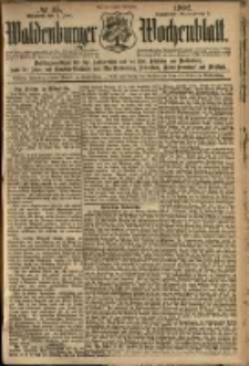 Waldenburger Wochenblatt, Jg. 48, 1902, nr 45