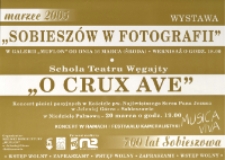 1. Festiwal Kameralistyki Musica Viva : koncert pieśni pasyjnych - afisz [Dokument życia społecznego]