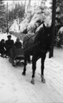 [Szklarska Poręba : kulig] (fot. 6) [Dokument ikonograficzny]