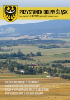 Przystanek Dolny Śląsk, 2016, nr 1 (10) [Dokument elektroniczny]