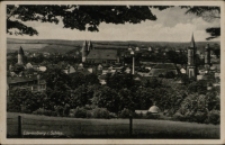Löwenberg i. Schles. [Dokument ikonograficzny]