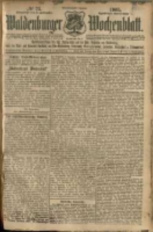 Waldenburger Wochenblatt, Jg. 51, 1905, nr 73