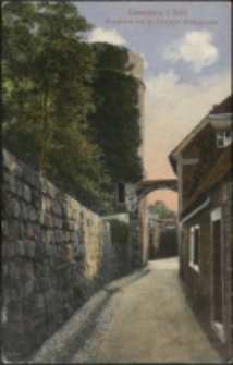 Löwenberg i. Schl., Hungerturm von der Bunzlauer Strasse gesehen [Dokument ikonograficzny]