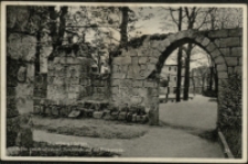 Löwenberg i. Schles., Ruine der Bastion mit Durchblick auf die Promenade. [Dokument ikonograficzny]