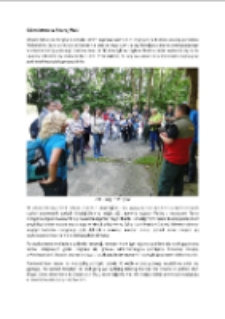 Górnictwo w Starej Wsi [Dokument elektroniczny]