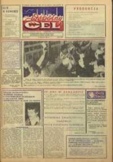 Wspólny cel : gazeta załogi ZWCH "Chemitex-Celwiskoza", 1988, nr 34 (1079)