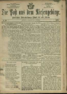 Die Post aus dem Riesengebirge, 1880, nr 20