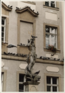 Jelenia Góra - Neptun (fot. 2) [Dokument ikonograficzny]