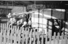 [Na karuzeli] (fot. 1) [Dokument ikonograficzny]