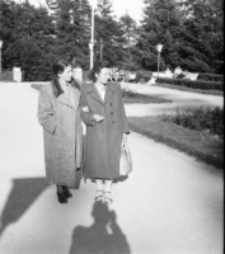 [Szklarska Poręba - Esplanada : park] [Dokument ikonograficzny]