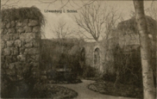 L&ouml;wenberg i. Schles. [Dokument ikonograficzny]