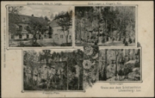 Gruss aus dem Sch&uuml;tzenhaus L&ouml;wenberg i. Schl. [Dokument ikonograficzny]