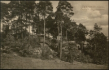 Löwenberg i/Schles. Schweiz. - Jungfernstübchen. [Dokument ikonograficzny]