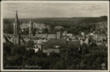 Löwenberg v. Hospitalberg [Dokument ikonograficzny]