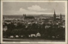 Löwenberg i. Schles. Gesamtansicht [Dokument ikonograficzny]
