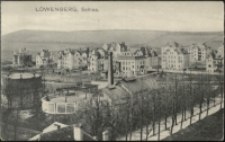 Löwenberg, Schles. [Dokument ikonograficzny]