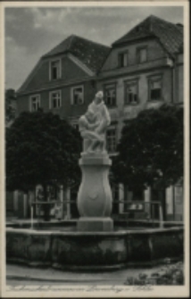 Tuchmacherbrunnen in Löwenberg i. Schl. [Dokument ikonograficzny]