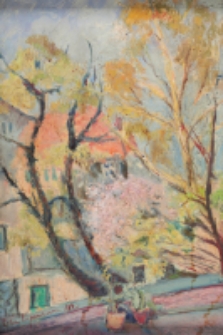 Widok z okna pracowni [Dokument ikonograficzny]