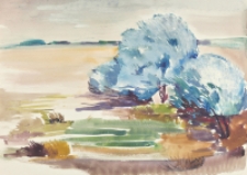 Drzewa [Dokument ikonograficzny]