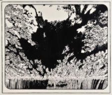 [Bez tytułu] [Dokument ikonograficzny]