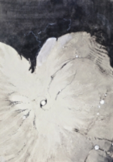 Tachykardia IV [Dokument ikonograficzny]