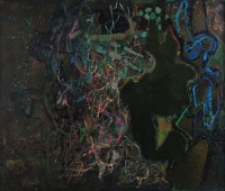 Kaczki [Dokument ikonograficzny]