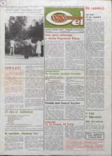 Wspólny cel : gazeta samorządu robotniczego Celwiskozy, 1982, nr 12 (852)