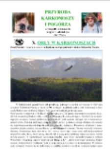 Orły w Karkoszach [Dokument elektroniczny]