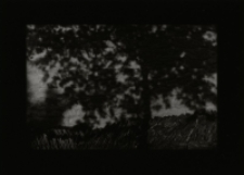 [Bez tytułu] [Dokument ikonograficzny]