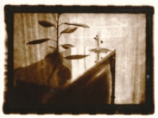 Z cyklu „Fotografia nieortodoksyjna” : 1/10 [Dokument ikonograficzny]