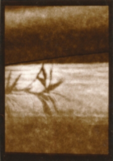 Z cyklu &bdquo;Fotografia nieortodoksyjna&rdquo; : 1/10 [Dokument ikonograficzny]