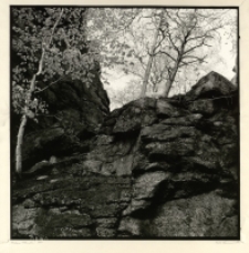 Z cyklu &bdquo;Fotografia nieortodoksyjna&rdquo; : 1/10 [Dokument ikonograficzny]