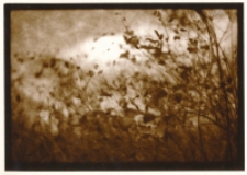 Z cyklu &bdquo;Fotografia nieortodoksyjna&rdquo; : 1/10 [Dokument ikonograficzny]