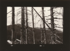 Karkonosze 1932 [Dokument ikonograficzny]